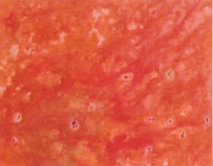 1914707_1133133283767_7631722_n