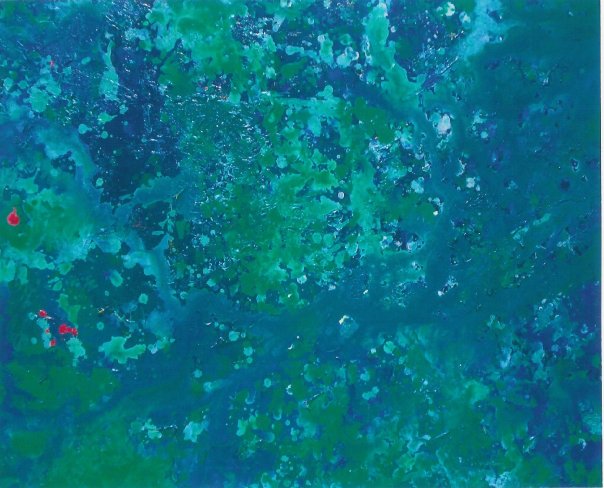 1914707_1133145244066_2278658_n