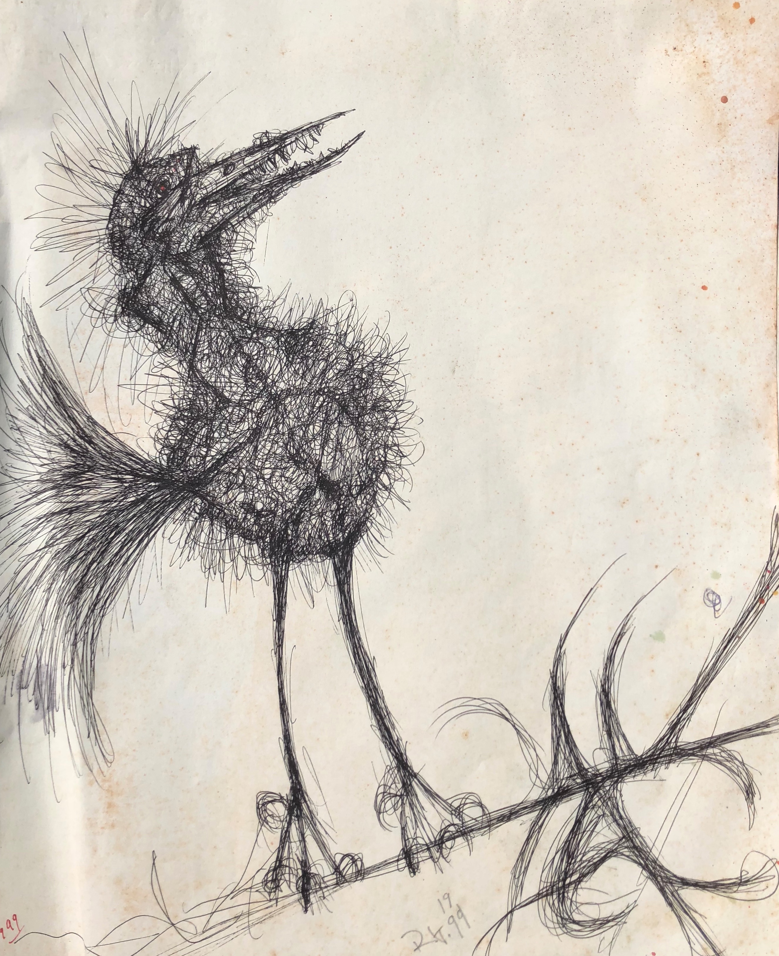 Bird Static - Pen on Paper - 14 x 17 - 1999
